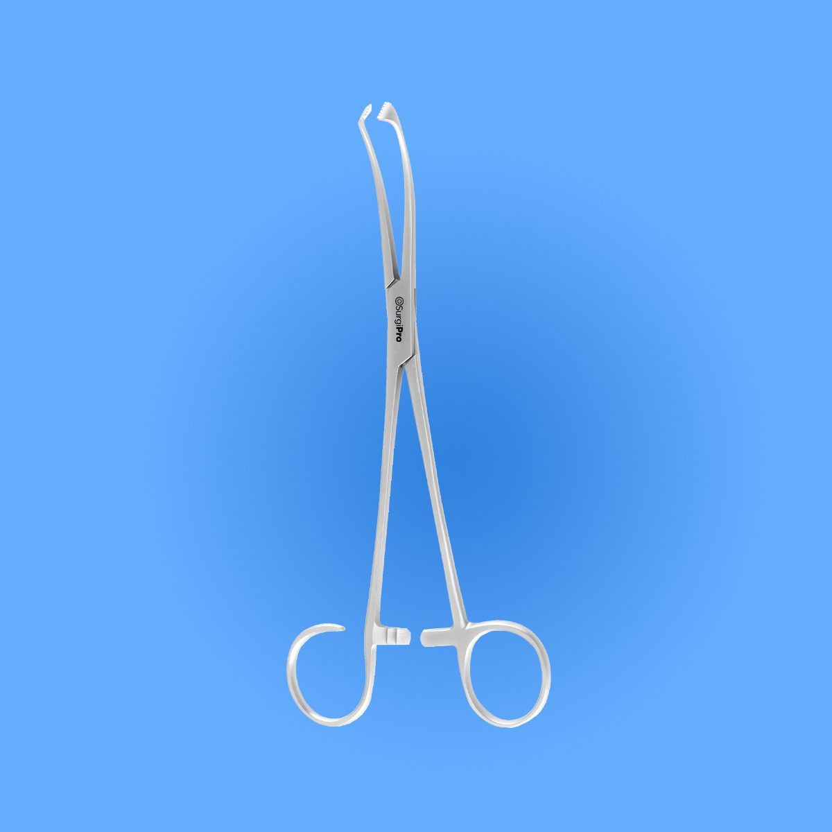 Buy Surgical White Tonsil Seizing Forceps at Best Price