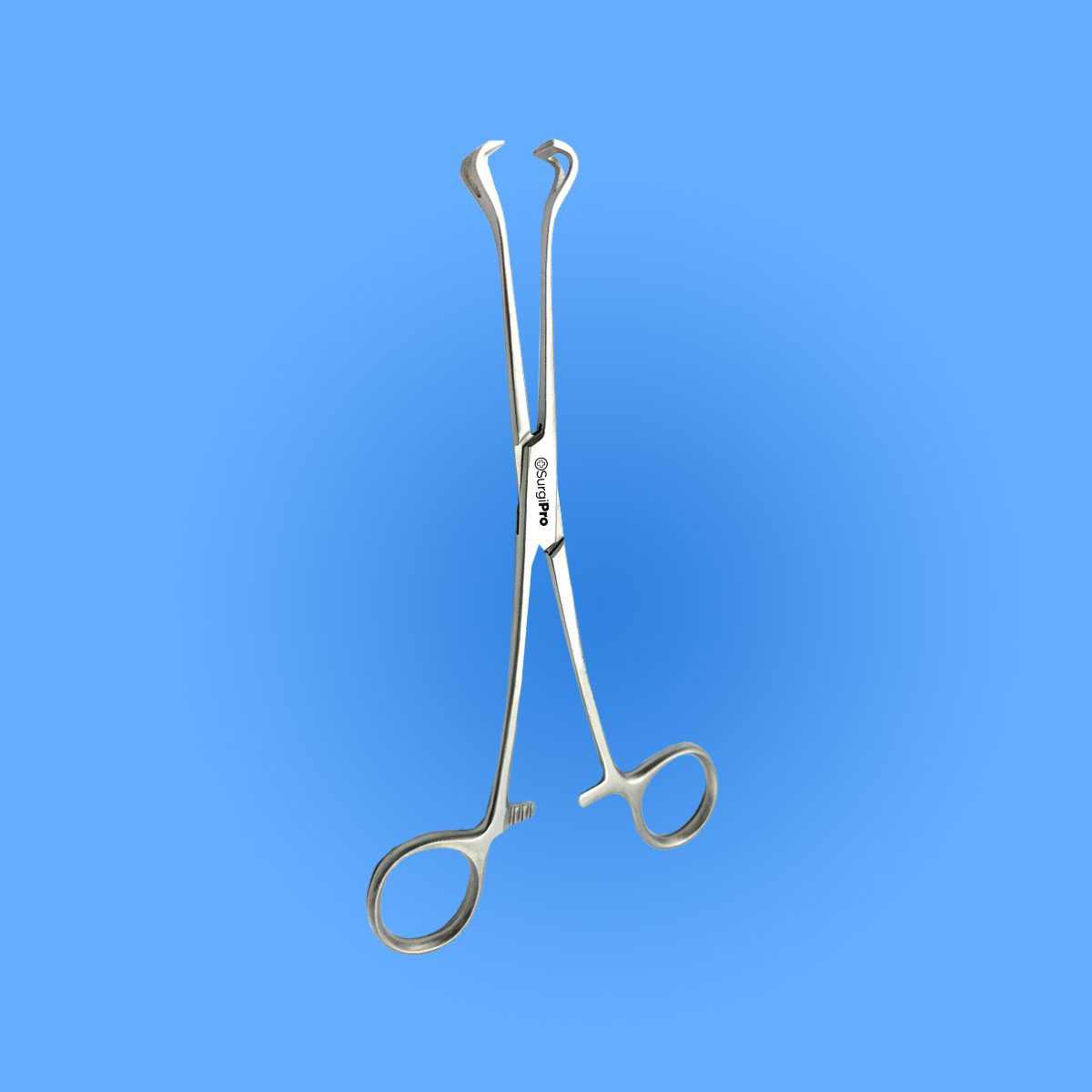 Buy Surgical Babcock Intestinal Forceps 8 1/4