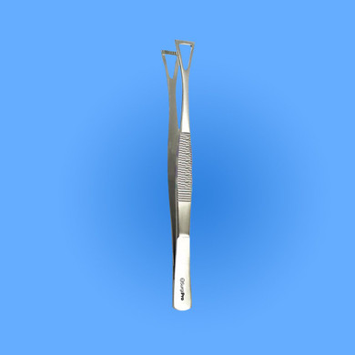 Surgical Collin-Duval Lung Grasping Forceps, SPCT-060