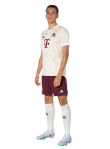 Bayern Munich 23/24 Stadium Men's Third Shirt