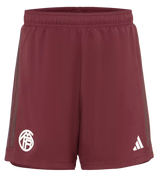 MÜLLER #25 Bayern Munich 23/24 Stadium Men's Third Shirt