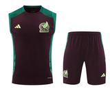 Mexico 2024 Men's Bordeaux Training Tank Top