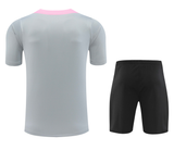 Paris Saint-Germain 24/25 Men's Gray Training Shirt