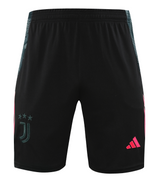 Juventus 24/25 Men's Gray Training Shirt