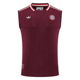 Bayern Munich 25/26 Men's Bordeaux Terrace Icon Tank Top