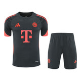 Bayern Munich 25/26 Men's Gray Training Shirt