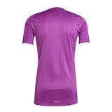 Aston Villa 25/26 Men's Purple Goalkeeper Shirt