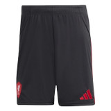 ISAK #9 Liverpool 25/26 Stadium Men's Away Shirt - Liverpool Font