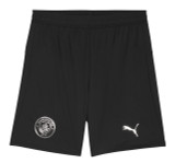 FODEN #47 Manchester City 25/26 Stadium Men's Away Shirt - PL Font