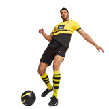 Borussia Dortmund 23/24 Authentic Men's Home Shirt