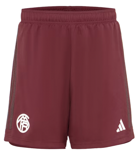 Bayern Munich 23/24 Stadium Men's Third Shirt