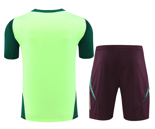 Mexico 2024 Men's Green Training Shirt