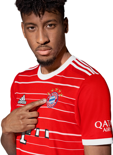 MANÉ #17 Bayern Munich 22/23 Stadium Men's Home Shirt