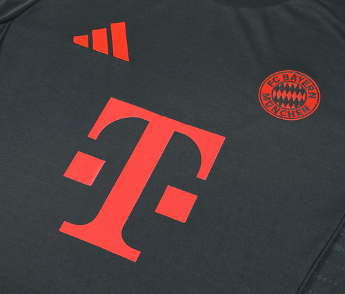Bayern Munich 25/26 Men's Gray Training Shirt
