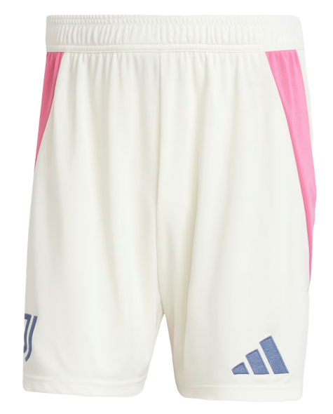 Juventus 24/25 Authentic Men's Away Shirt