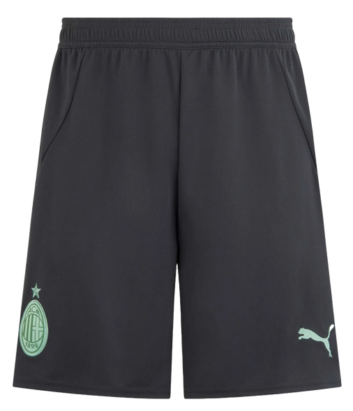 AC Milan 24/25 Authentic Men's Third Shirt