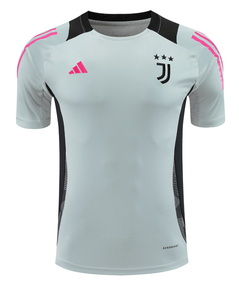 Juventus 24/25 Men's Gray Training Shirt