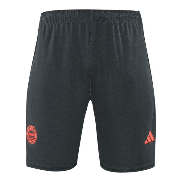 Bayern Munich 25/26 Men's Gray Training Shirt