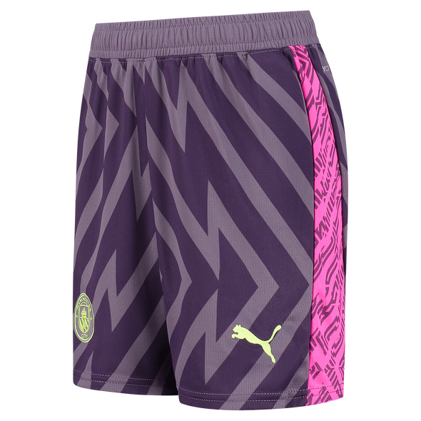 Manchester City 23/24 Men's Purple Goalkeeper Long Sleeve Shirt