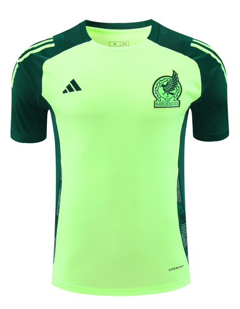Mexico 2024 Men's Green Training Shirt