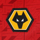 Wolves 23/24 Stadium Men's Away Shirt
