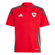 Wales 2024 Kid's Home Shirt and Shorts