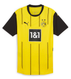 Borussia Dortmund 24/25 Authentic Men's Home Shirt