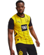 Borussia Dortmund 24/25 Authentic Men's Home Shirt