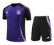 Germany 2024 Men's Purple Training Shirt