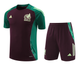Mexico 2024 Men's Bordeaux Training Shirt