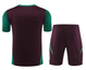 Mexico 2024 Men's Bordeaux Training Shirt