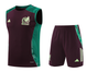 Mexico 2024 Men's Bordeaux Training Tank Top
