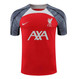 Liverpool 24/25 Men's Red Training Shirt