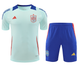 Spain 2024 Men's Light Blue Training Shirt