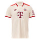 Bayern Munich 24/25 Stadium Men's Third Shirt