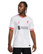 Liverpool 24/25 Authentic Men's Third Shirt