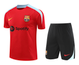 Barcelona 24/25 Men's Red Training Shirt