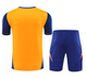 Juventus 24/25 Men's Orange Training Shirt