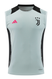 Juventus 24/25 Men's Gray Training Tank Top