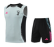 Juventus 24/25 Men's Gray Training Tank Top