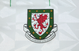 Wales 90/92 Men's Away Retro Shirt