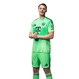 Bayern Munich 25/26 Men's Green Goalkeeper Shirt