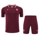 Bayern Munich 25/26 Men's Bordeaux Terrace Icon Shirt
