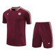 Bayern Munich 25/26 Men's Bordeaux Terrace Icon Shirt