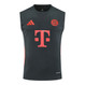 Bayern Munich 25/26 Men's Gray Training Tank Top