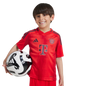 Bayern Munich 24/25 Kid's Home Shirt and Shorts
