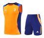 Juventus 24/25 Men's Orange Training Tank Top