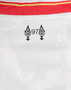 CHAMPIONS 24/25 Liverpool 24/25 Kid's Third Shirt and Shorts