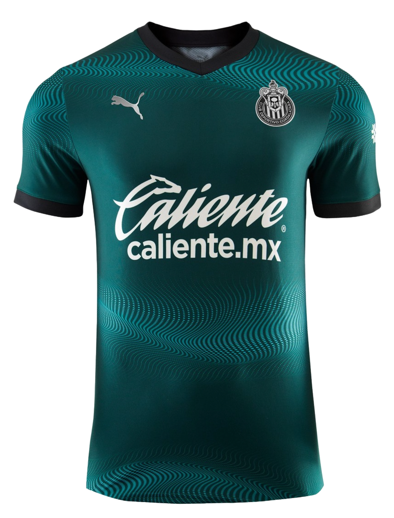 Deportivo Guadalajara 23/24 Stadium Men's Third Shirt