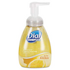Dial 06001 Dial Complete Foaming Hand Wash L 1385515